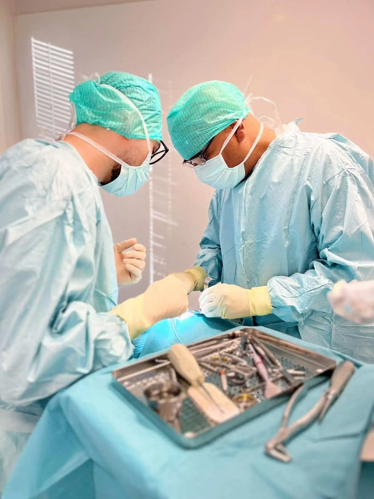 Tannlege i arbeid hos Veitvet Senter Tannklinikk